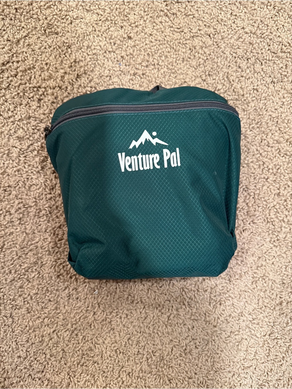 Venture Pal 40L Lightweight Packable Backpack Daypack in Green